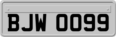 BJW0099
