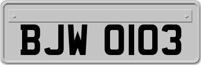 BJW0103