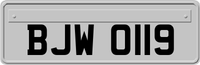 BJW0119