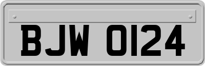 BJW0124