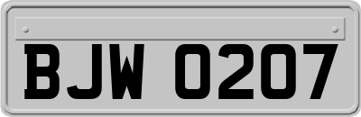 BJW0207