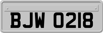BJW0218