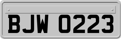 BJW0223
