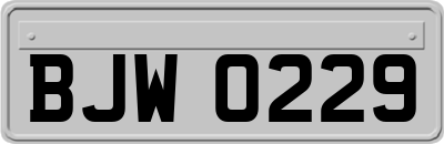BJW0229
