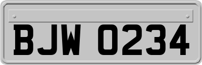 BJW0234