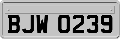 BJW0239
