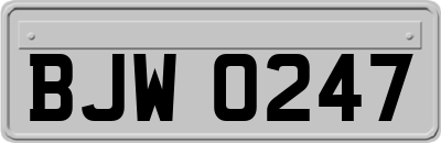 BJW0247