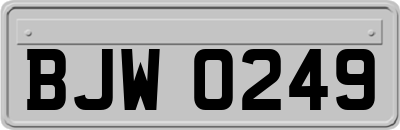 BJW0249