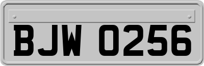 BJW0256