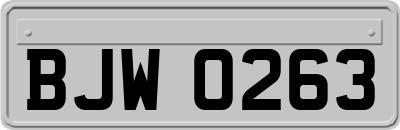 BJW0263