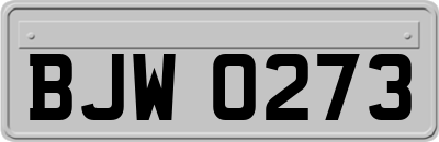 BJW0273