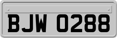 BJW0288