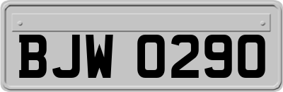 BJW0290