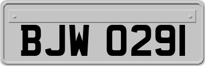 BJW0291