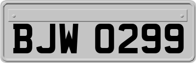 BJW0299