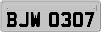 BJW0307
