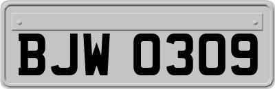 BJW0309