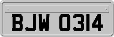 BJW0314