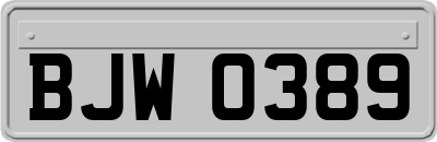 BJW0389