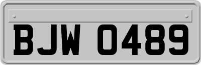 BJW0489