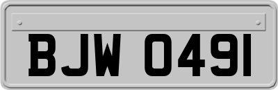 BJW0491