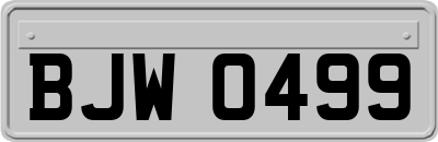 BJW0499