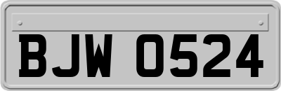 BJW0524