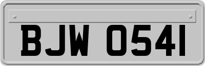 BJW0541