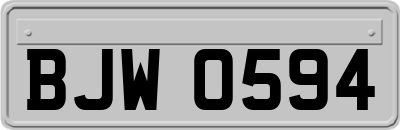 BJW0594