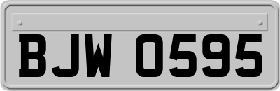 BJW0595
