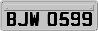 BJW0599