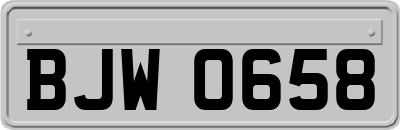 BJW0658