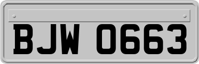 BJW0663