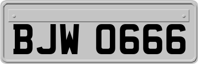 BJW0666
