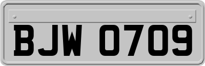 BJW0709