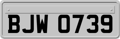 BJW0739