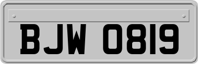 BJW0819