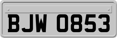BJW0853