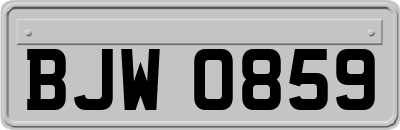 BJW0859