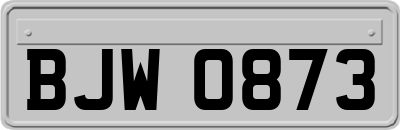BJW0873
