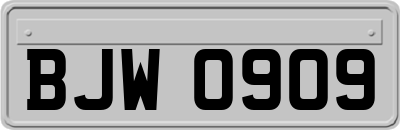 BJW0909