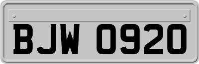 BJW0920