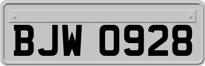 BJW0928