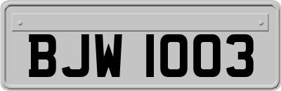 BJW1003
