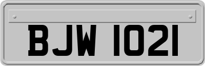 BJW1021