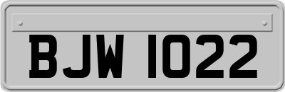 BJW1022
