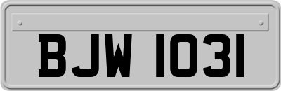 BJW1031