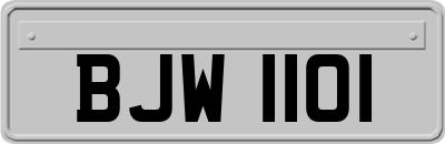 BJW1101