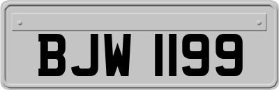 BJW1199
