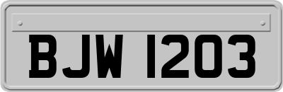 BJW1203